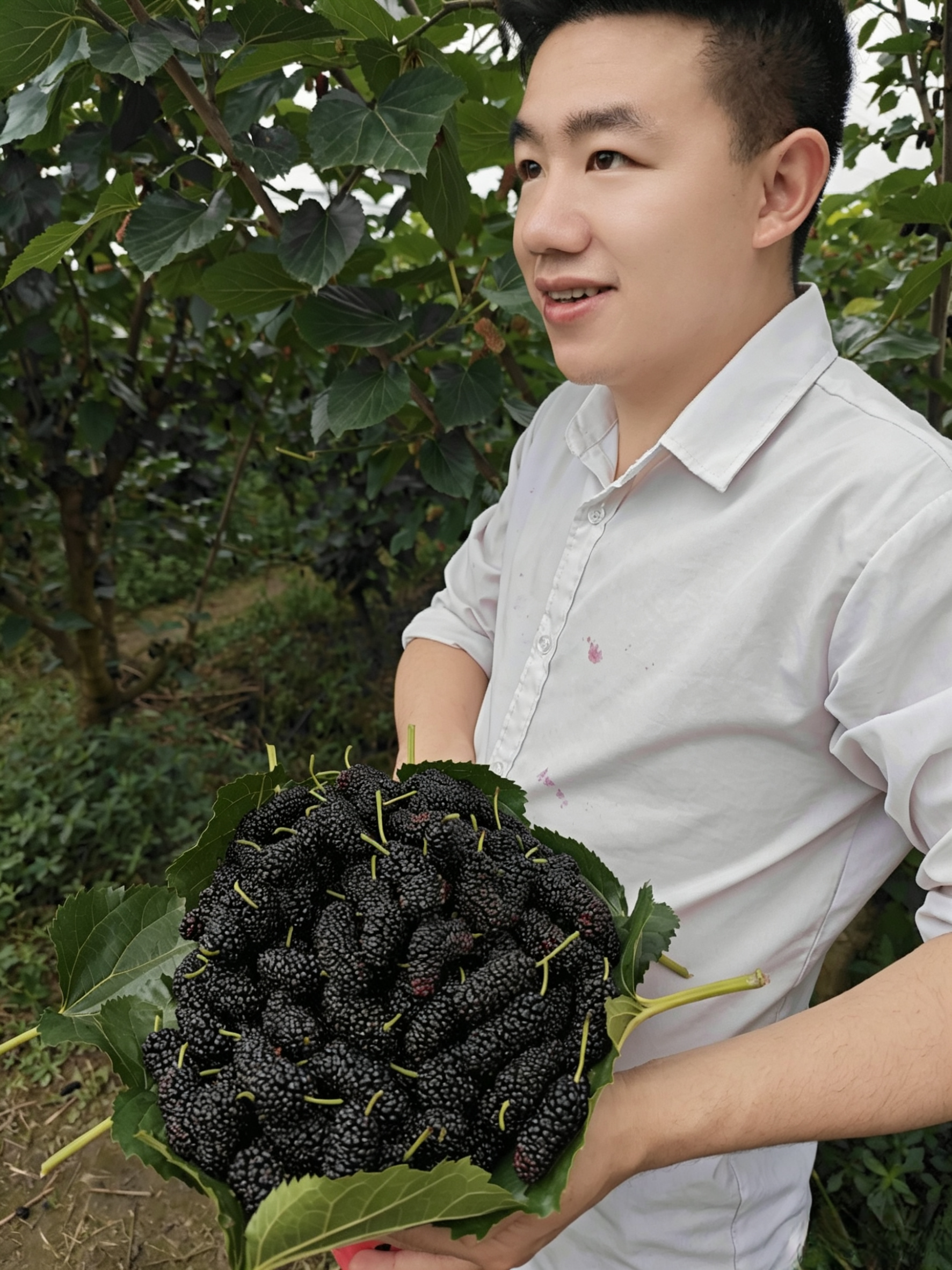 图片附件