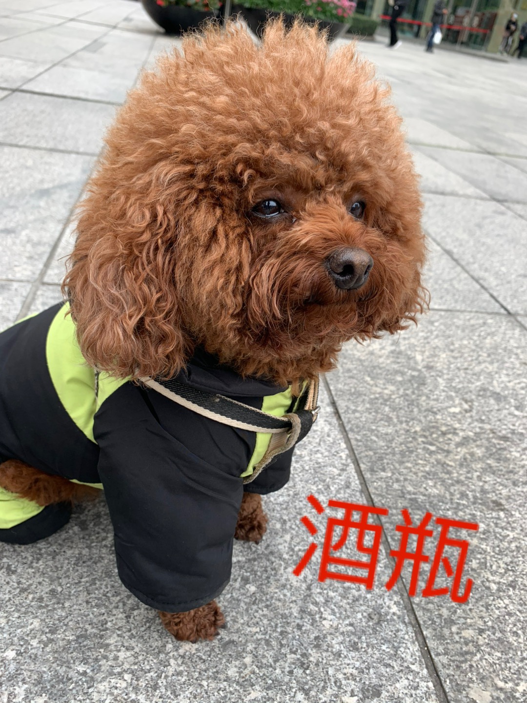图片附件