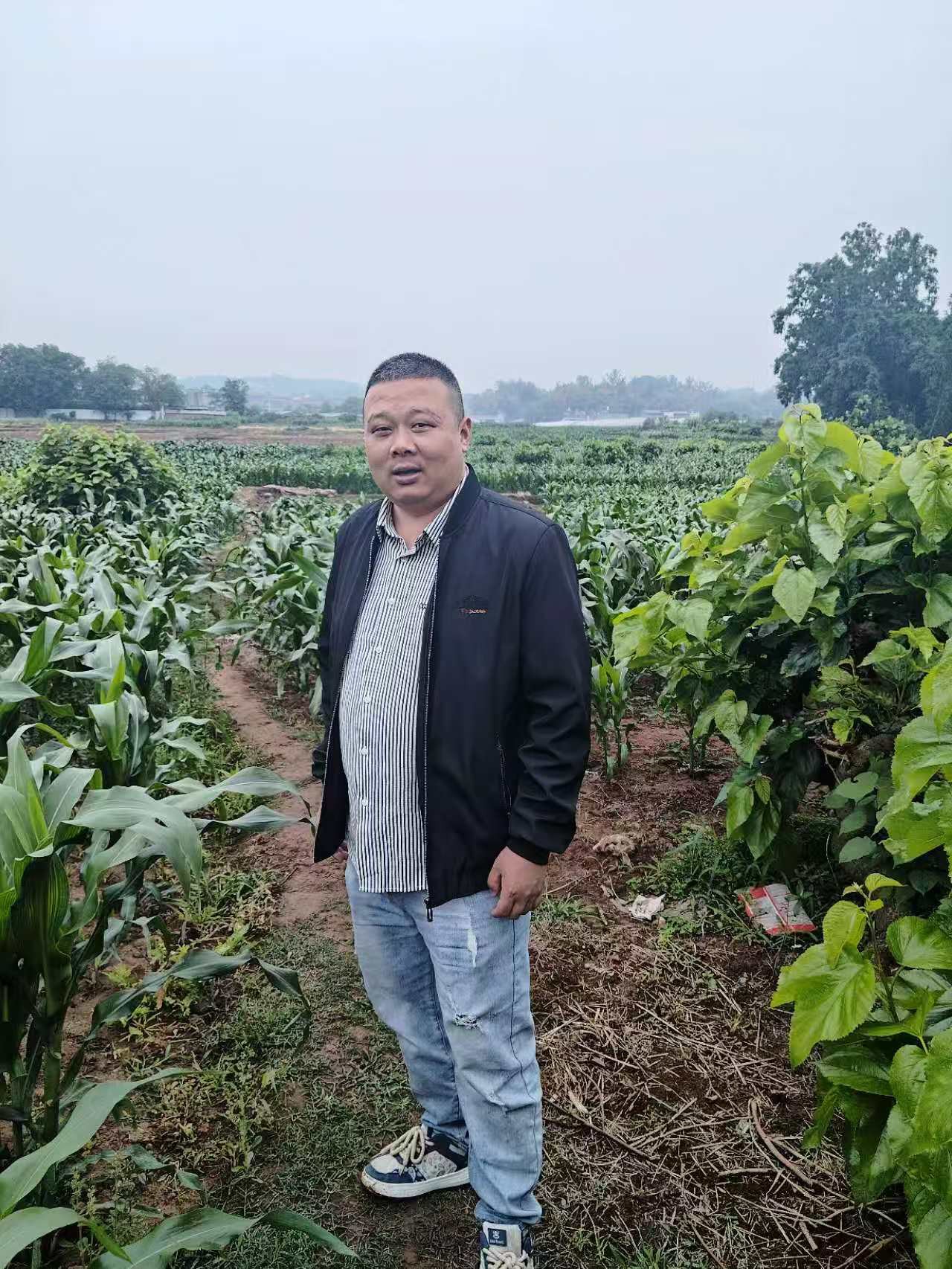 图片附件
