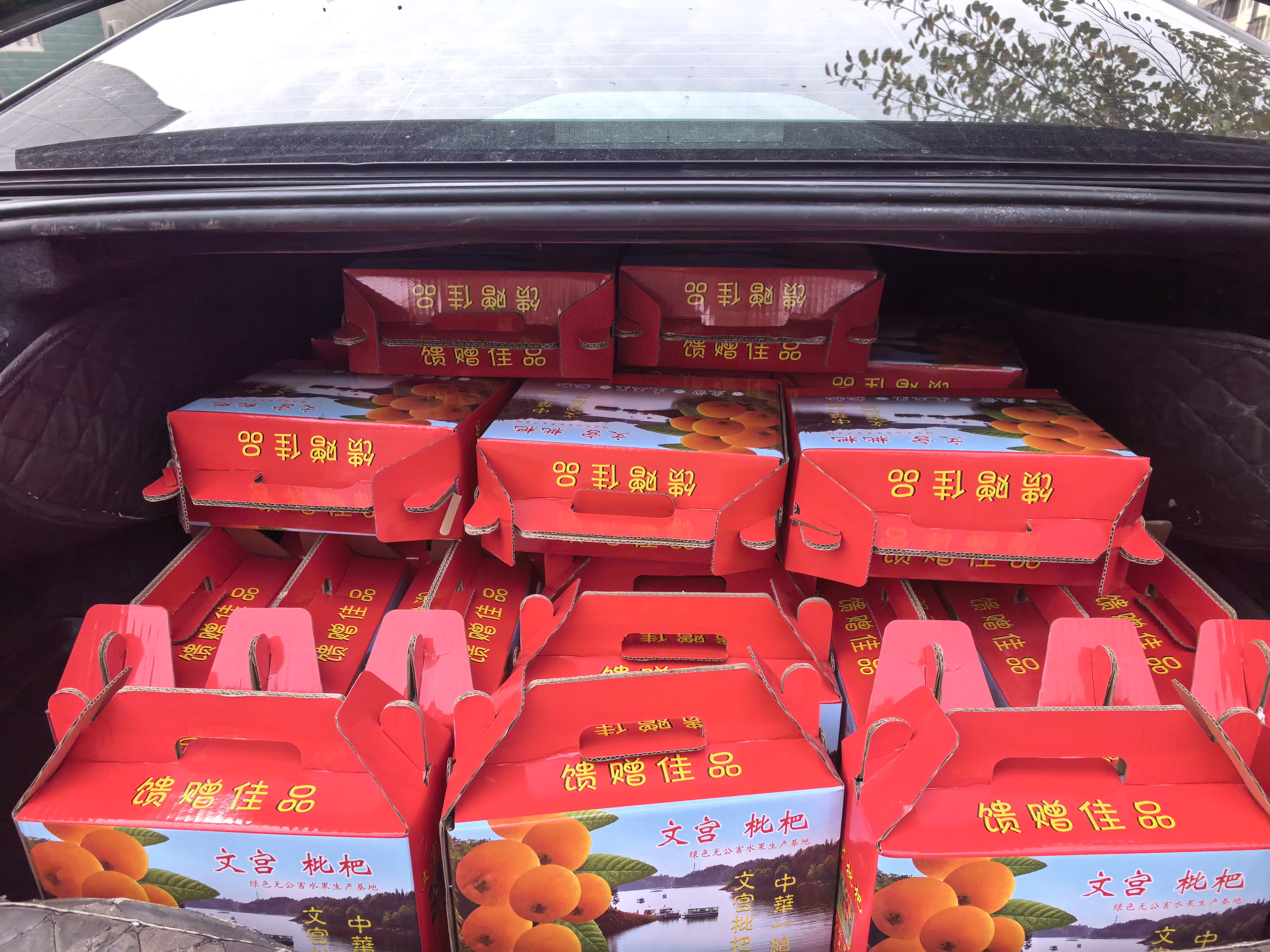 图片附件