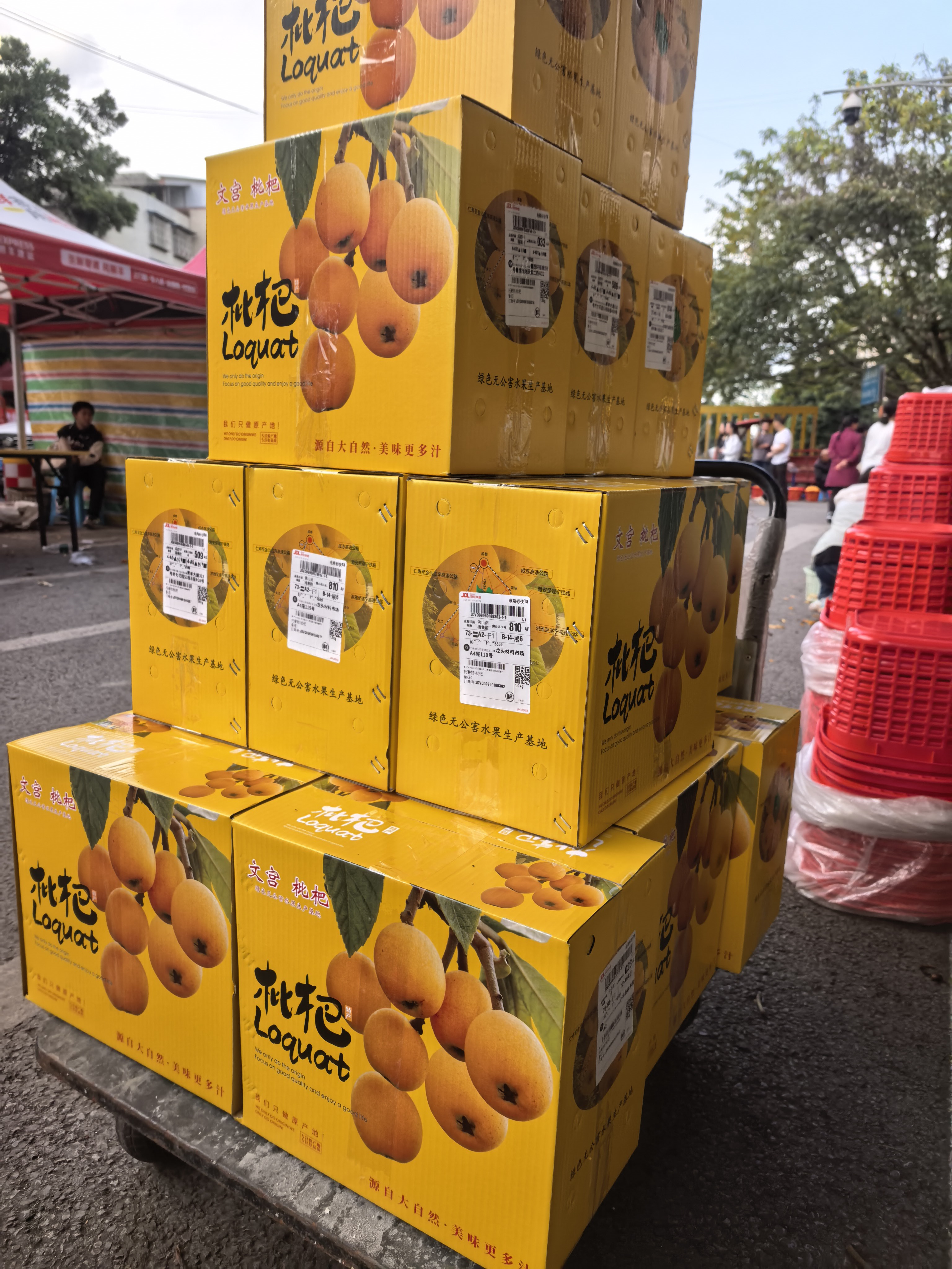 图片附件