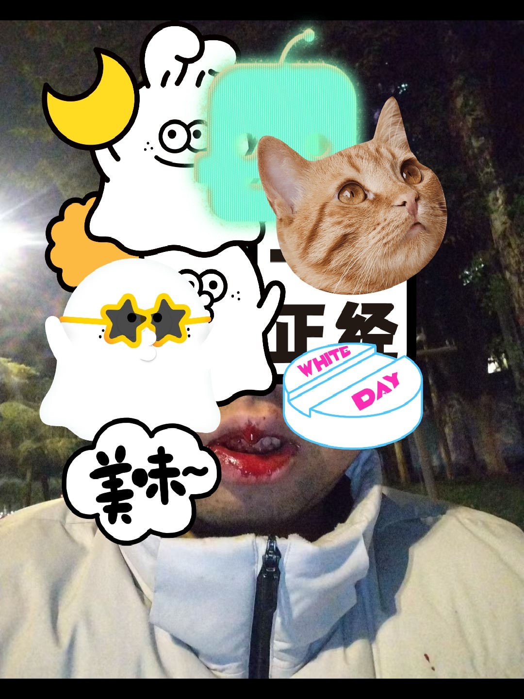 图片附件