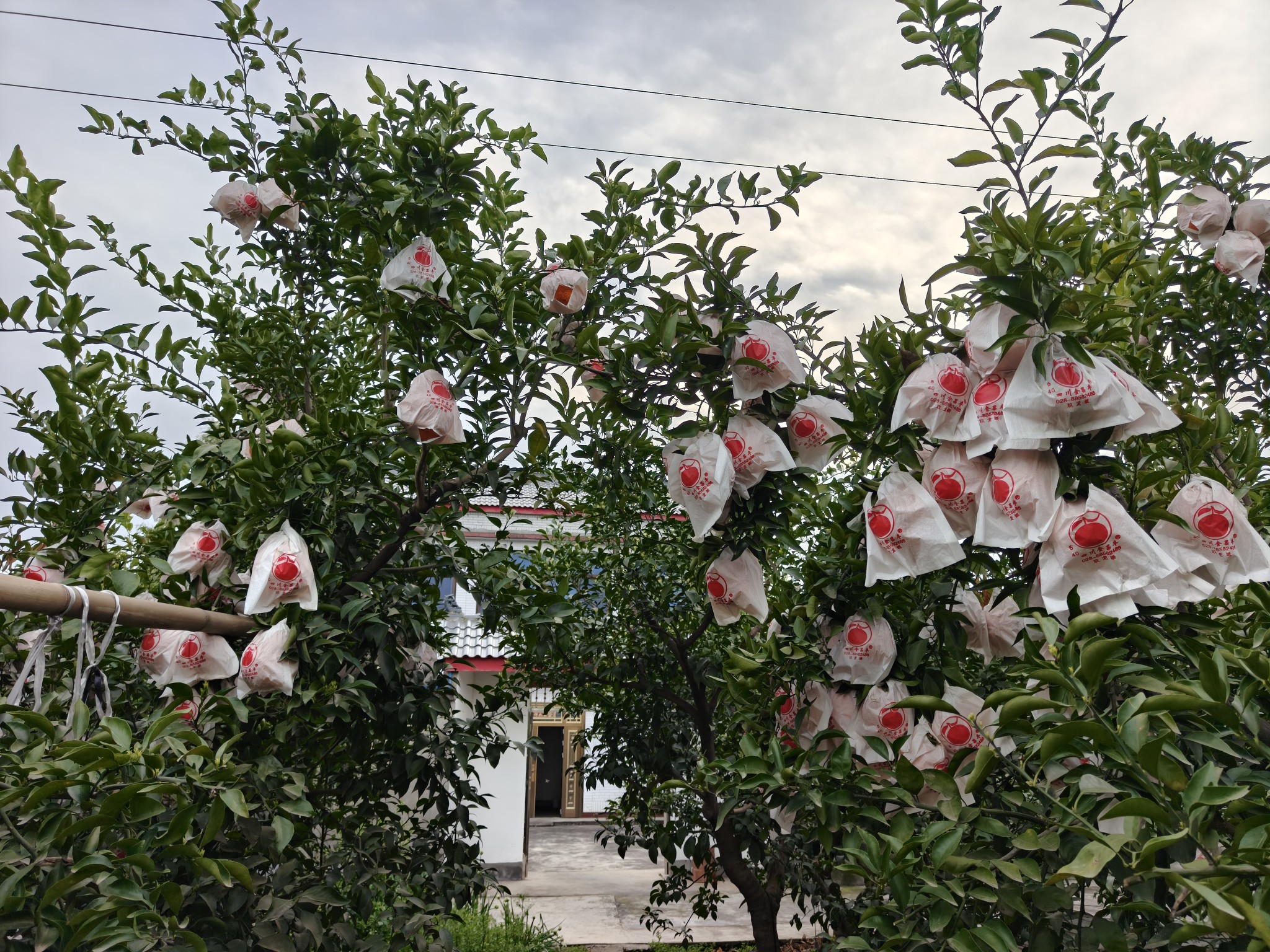 图片附件