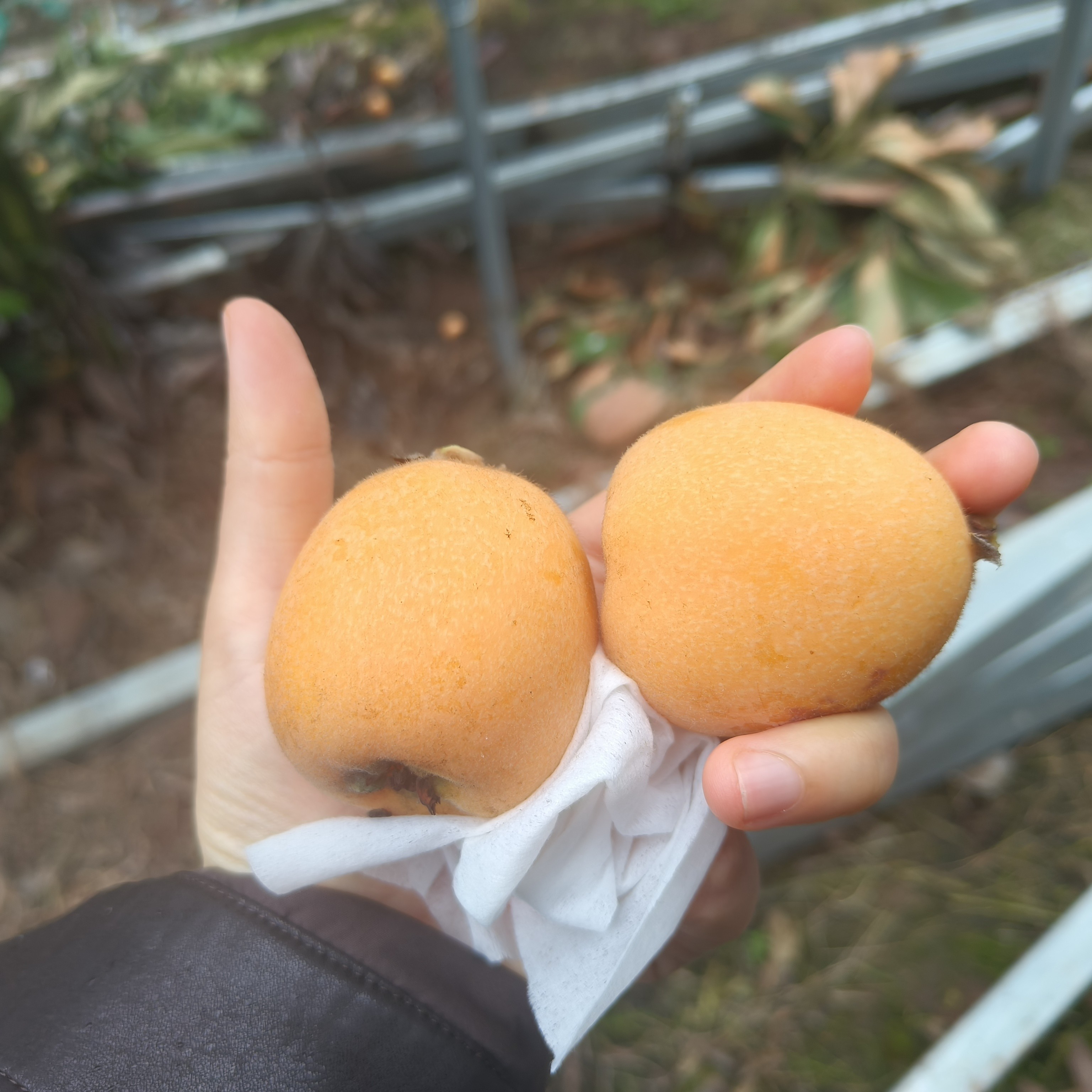 图片附件