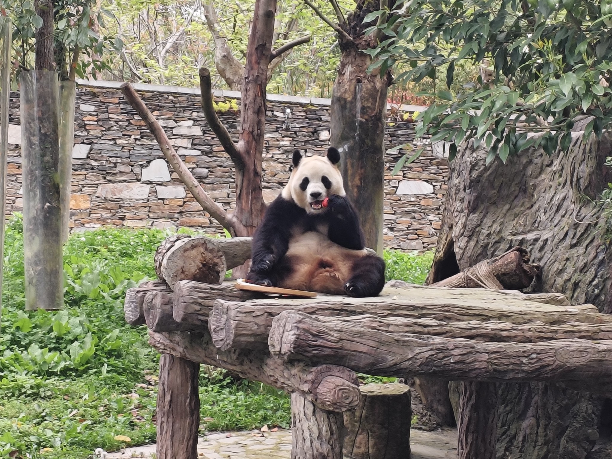 图片附件