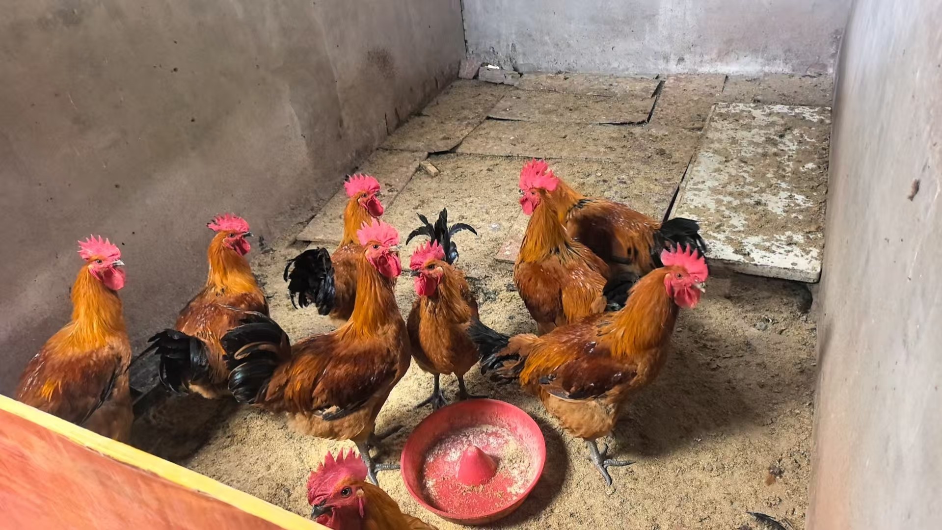 图片附件