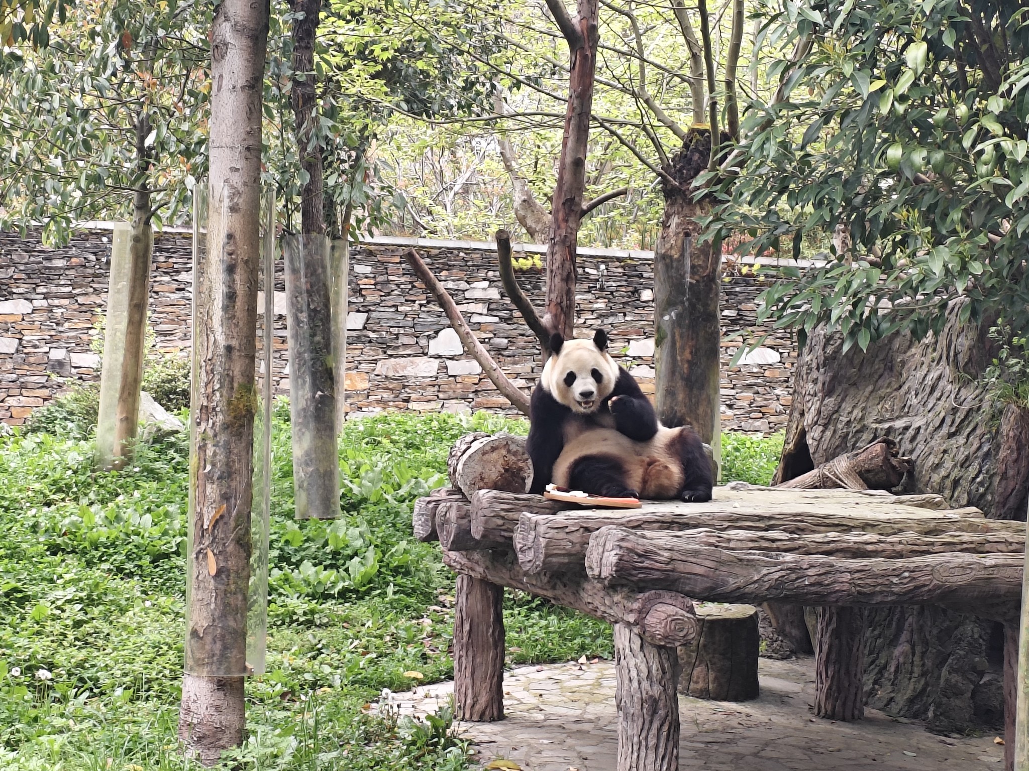 图片附件