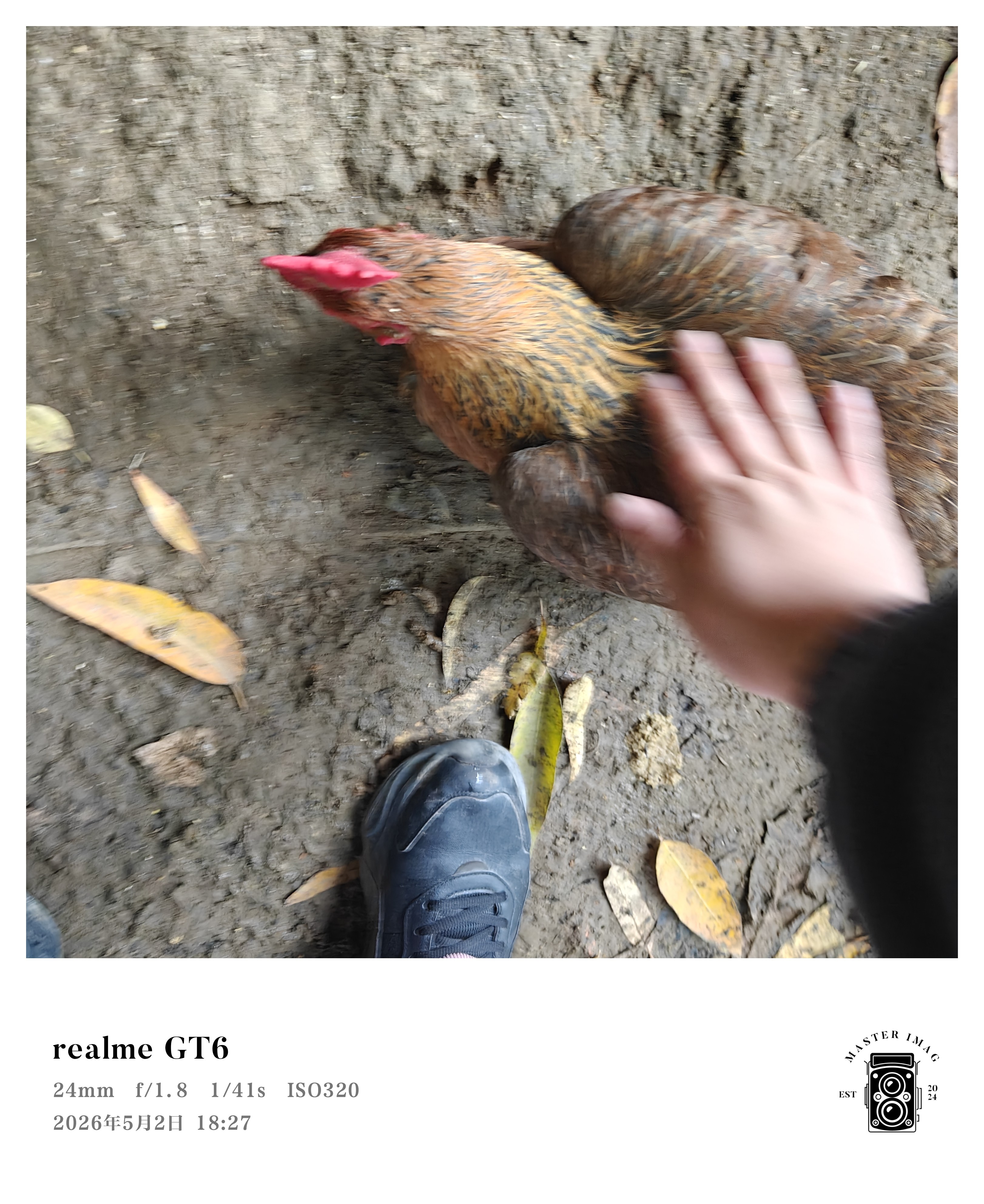 图片附件