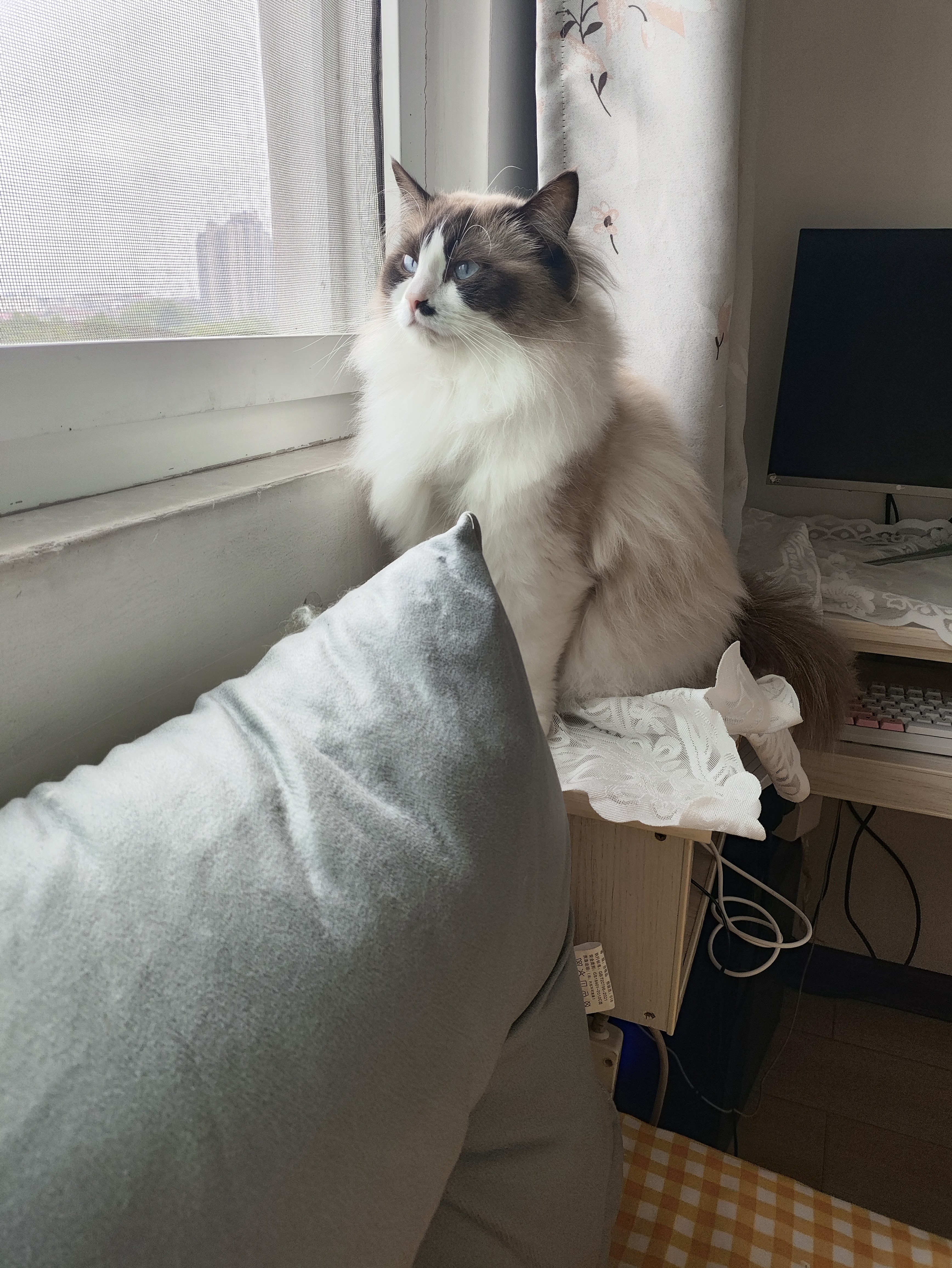 图片附件