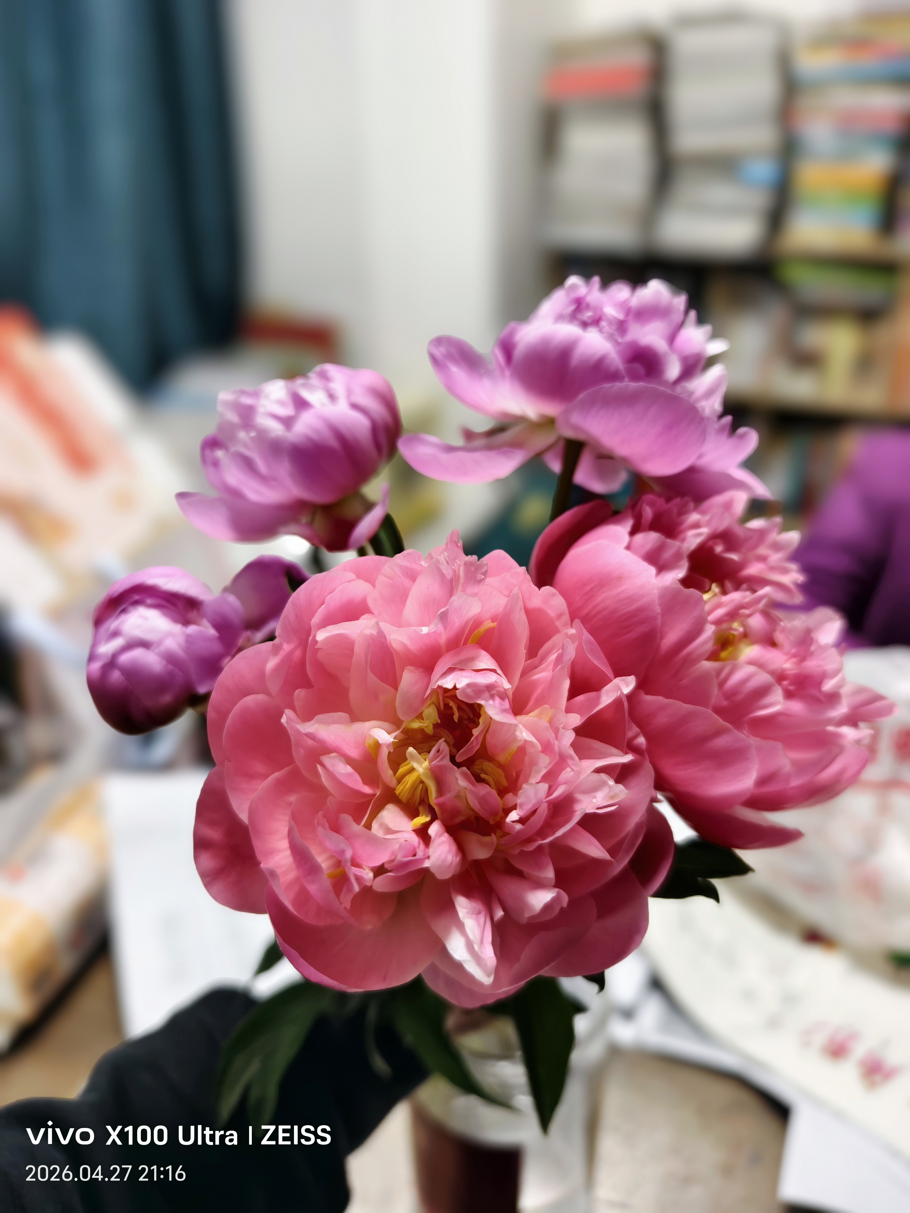 图片附件