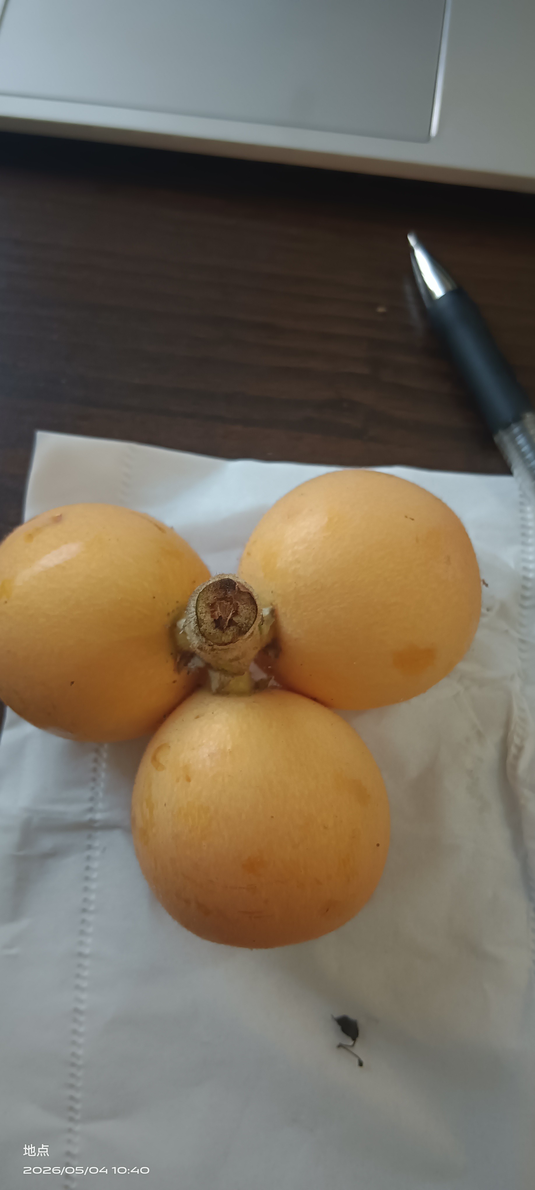 图片附件