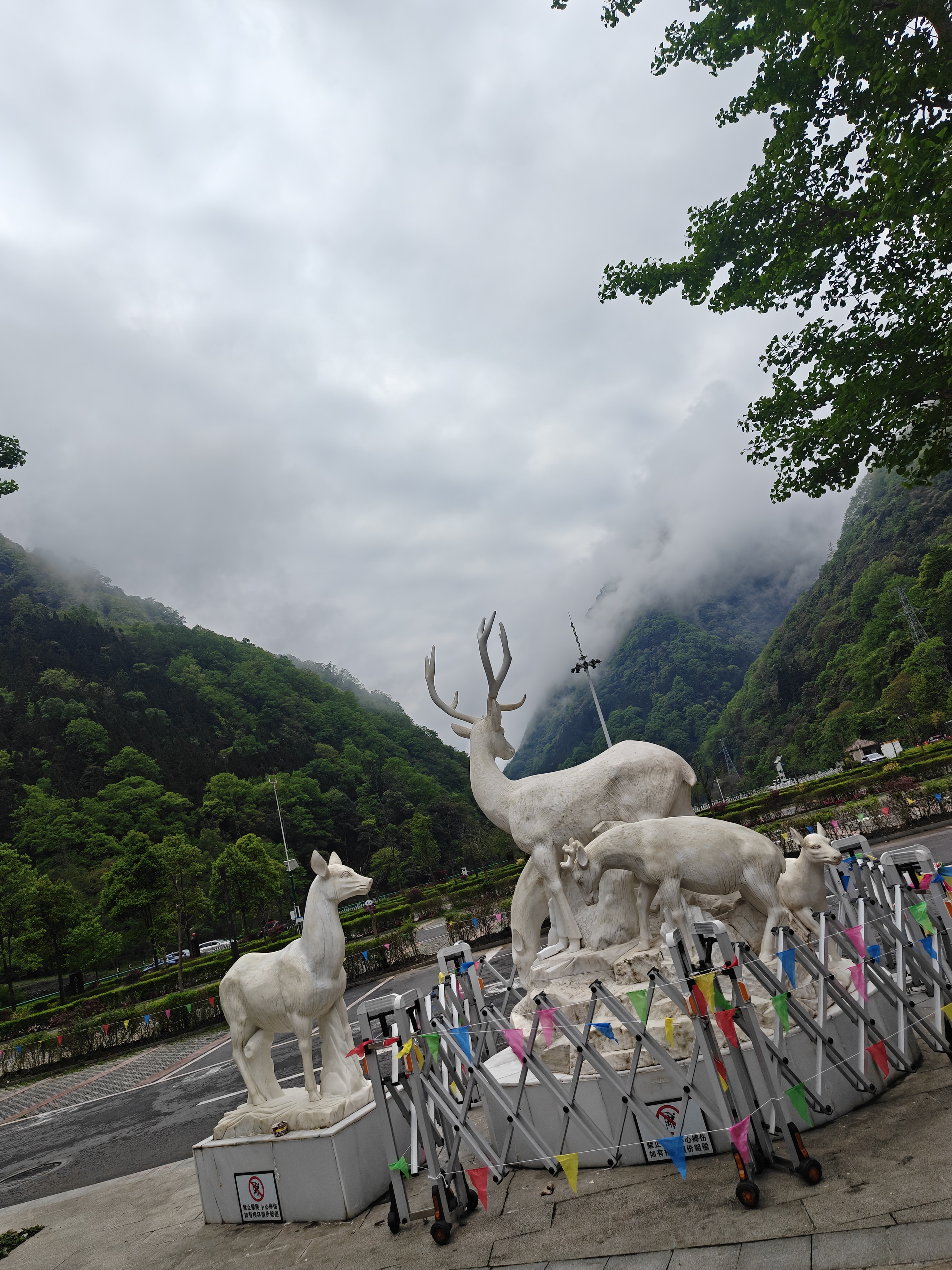图片附件