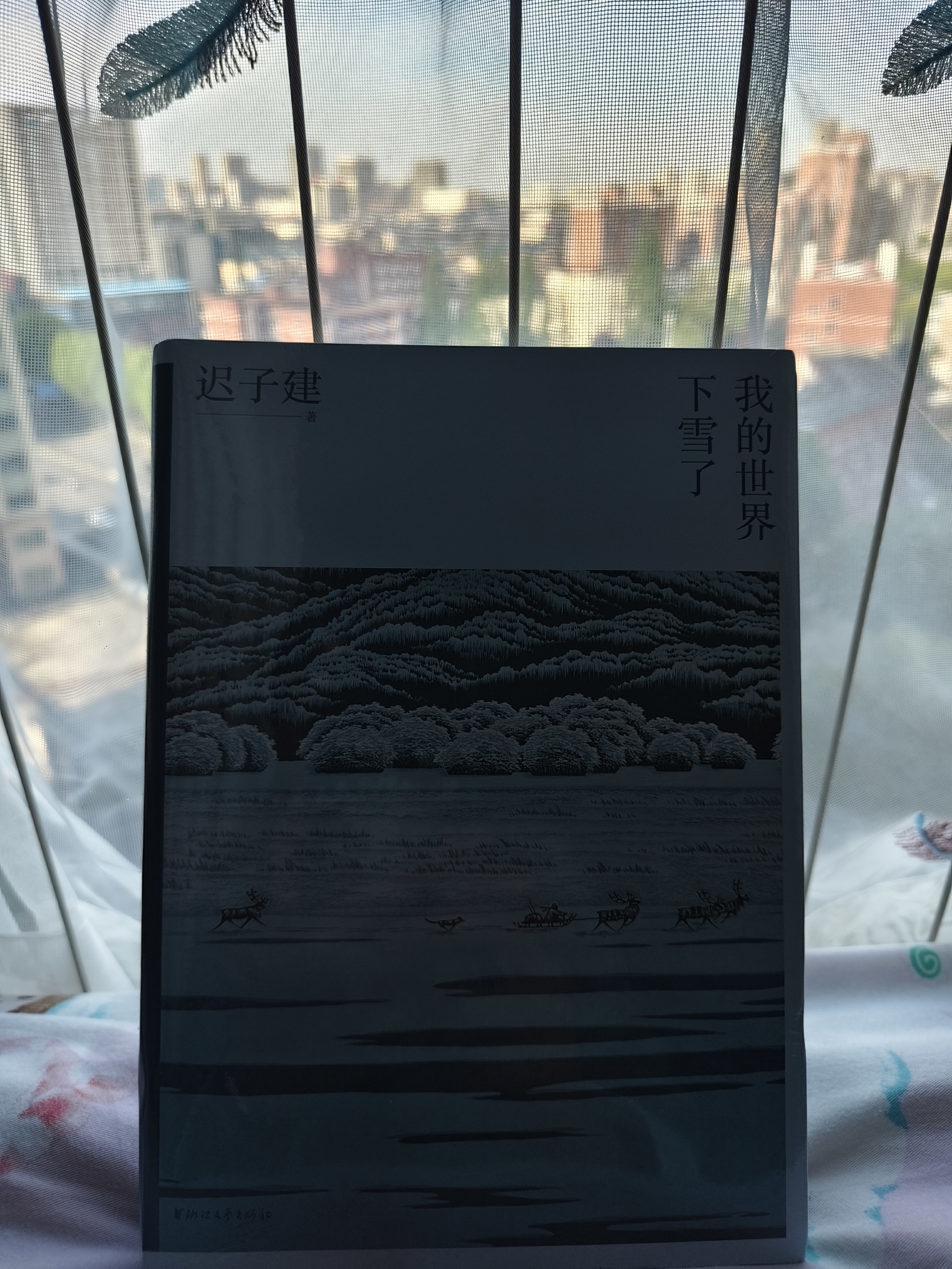 图片附件