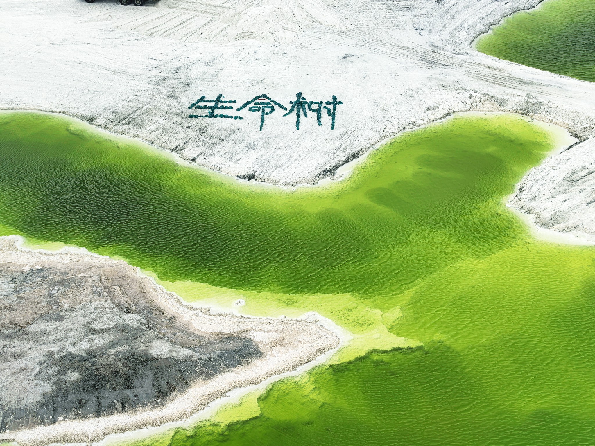 图片附件