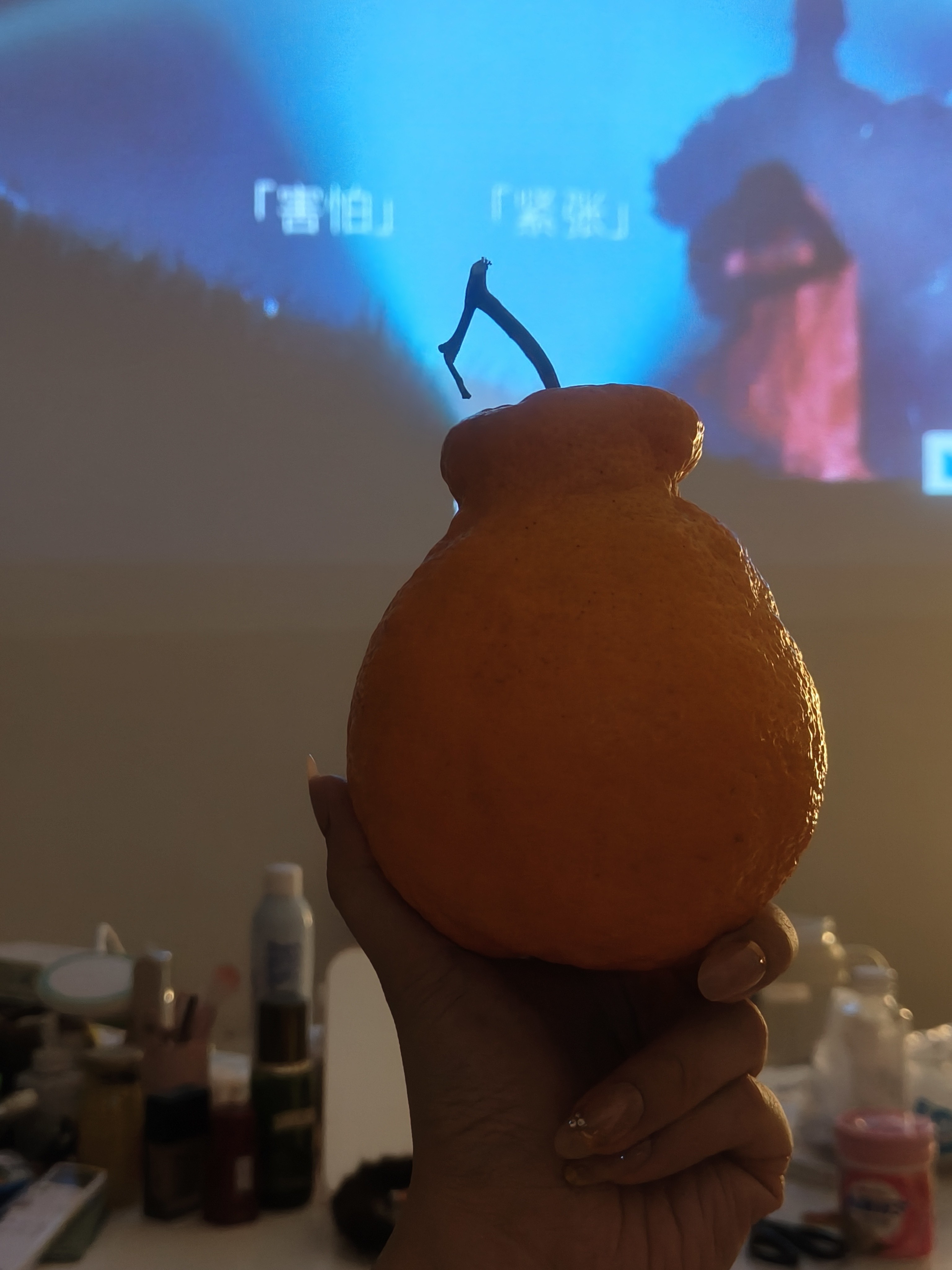 图片附件