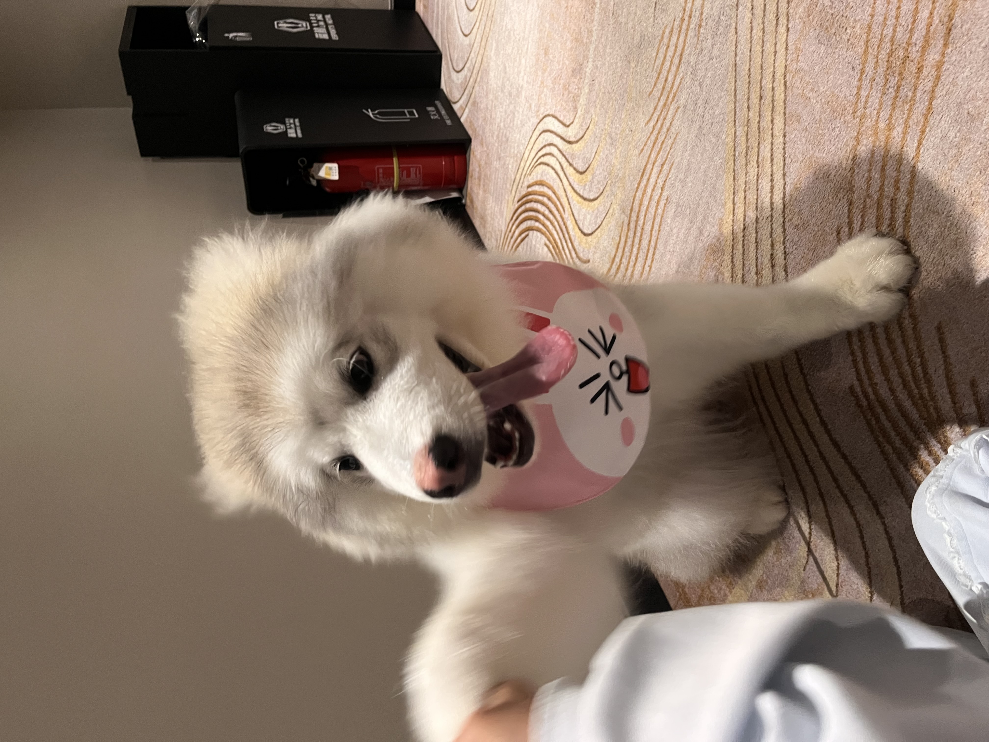 图片附件