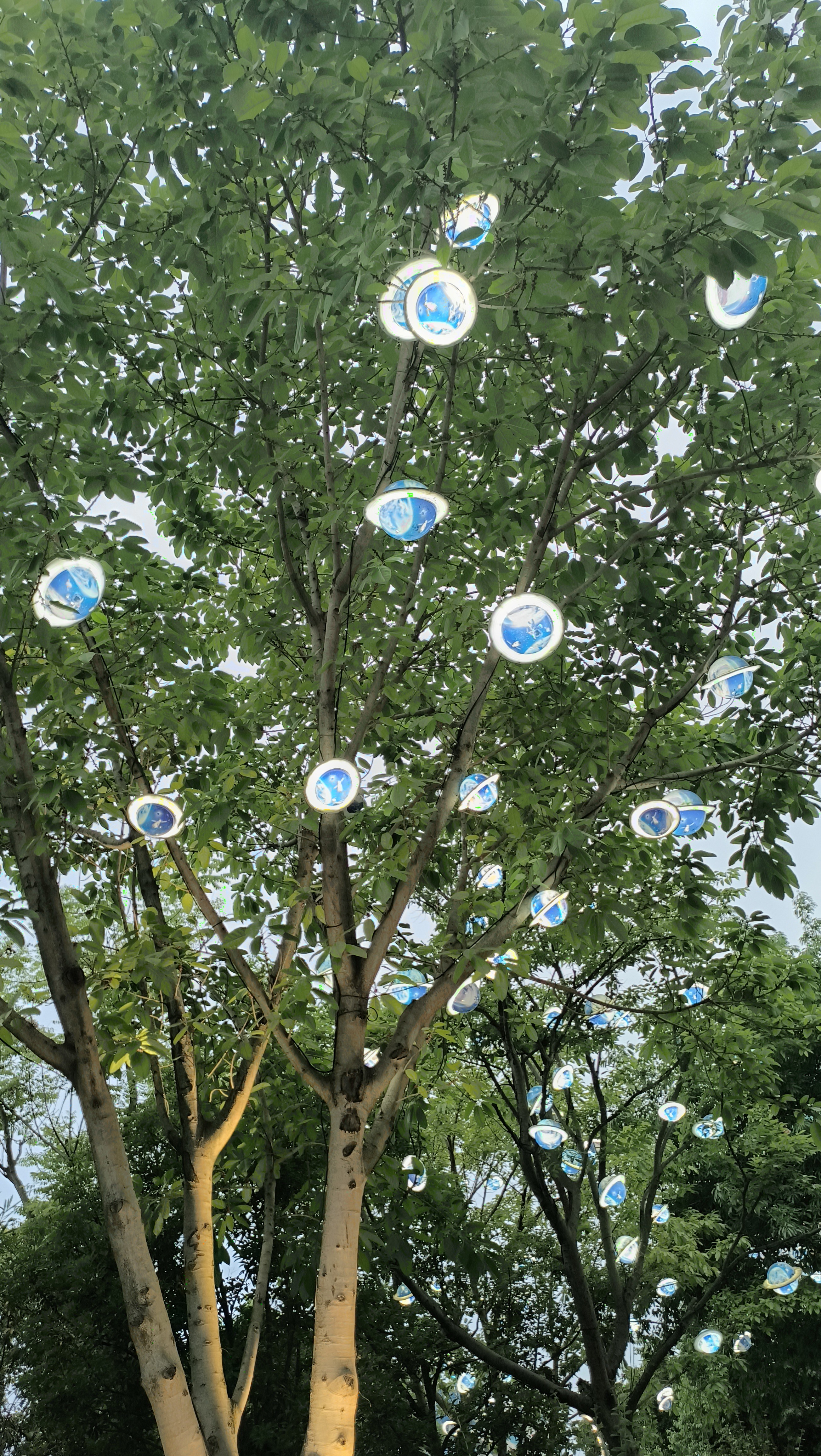 图片附件