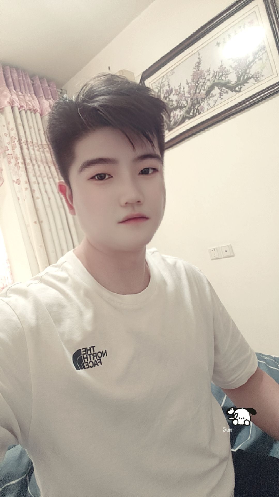 图片附件