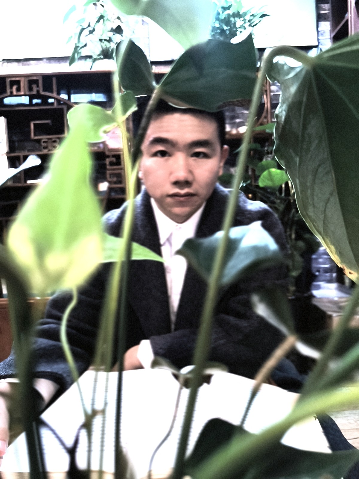 图片附件