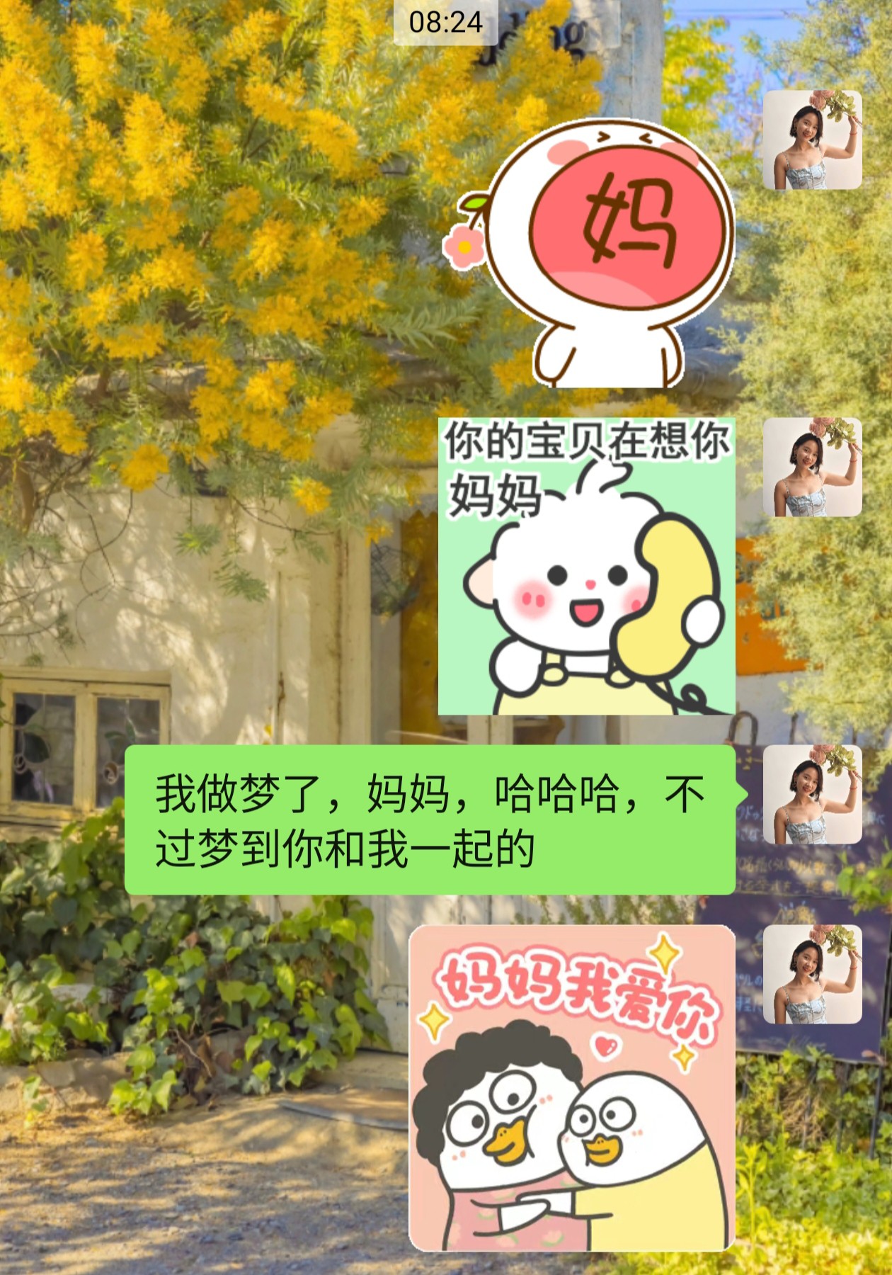 图片附件