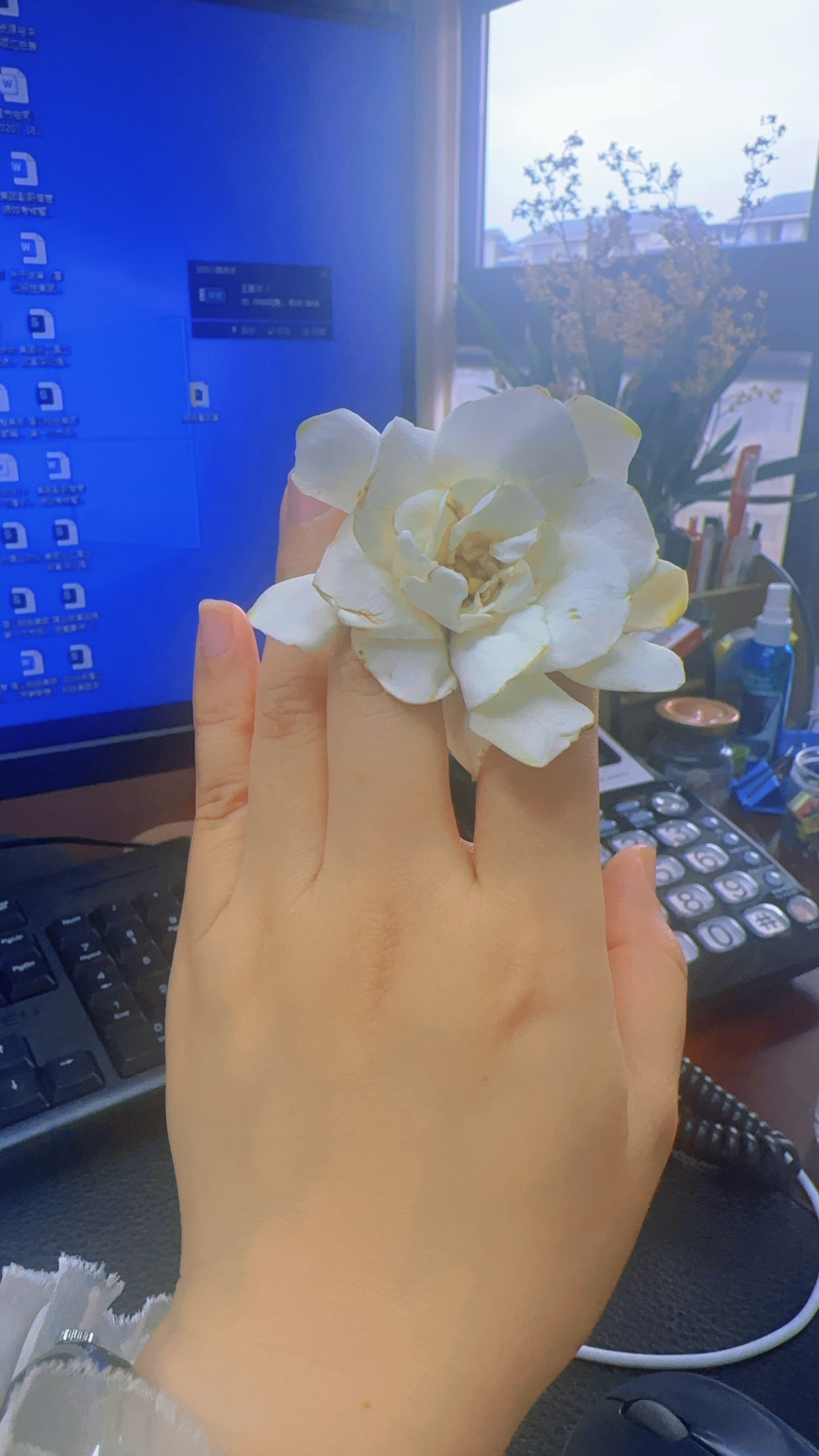 图片附件