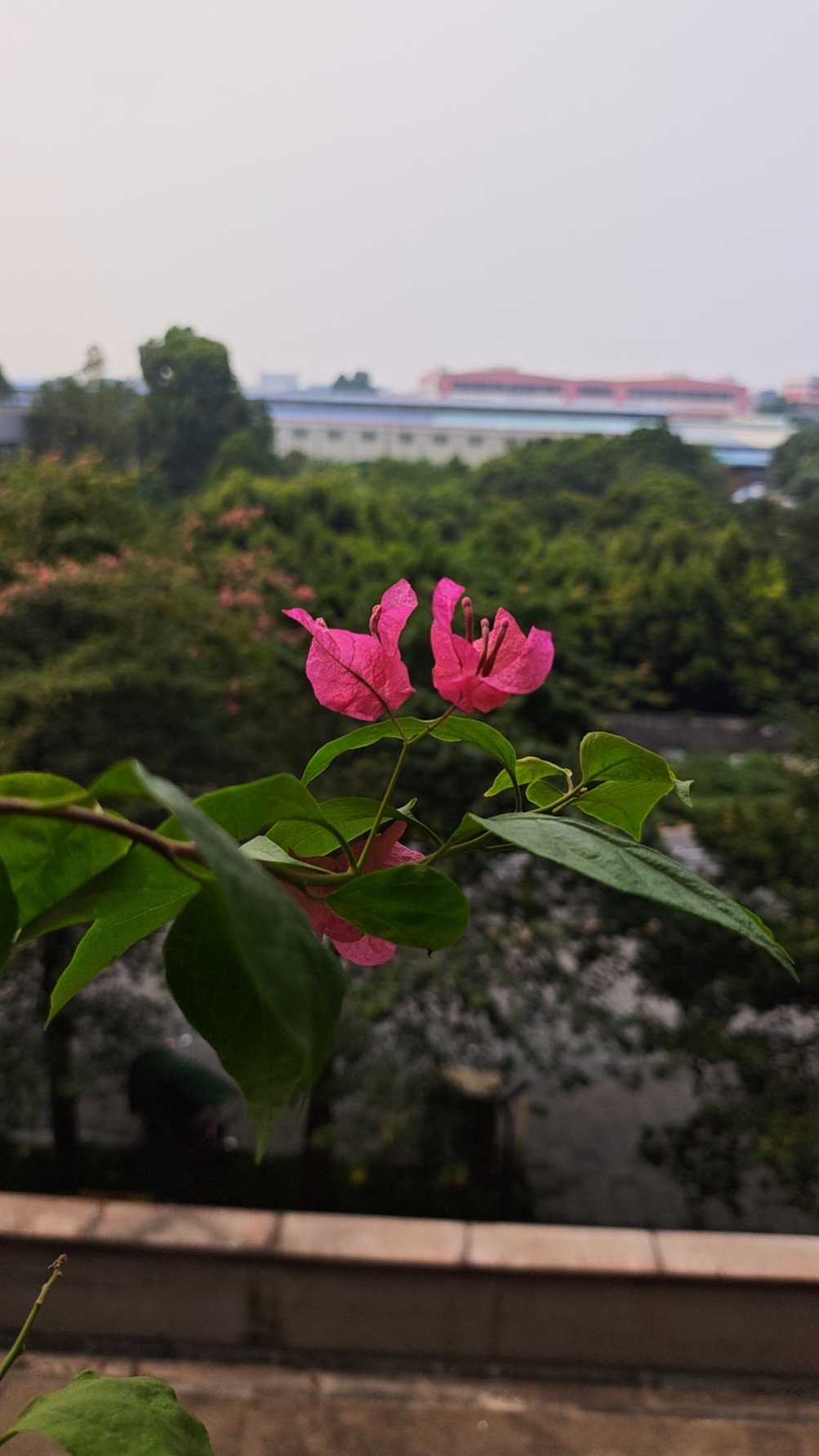 失眠时的作息与睡前调整经验