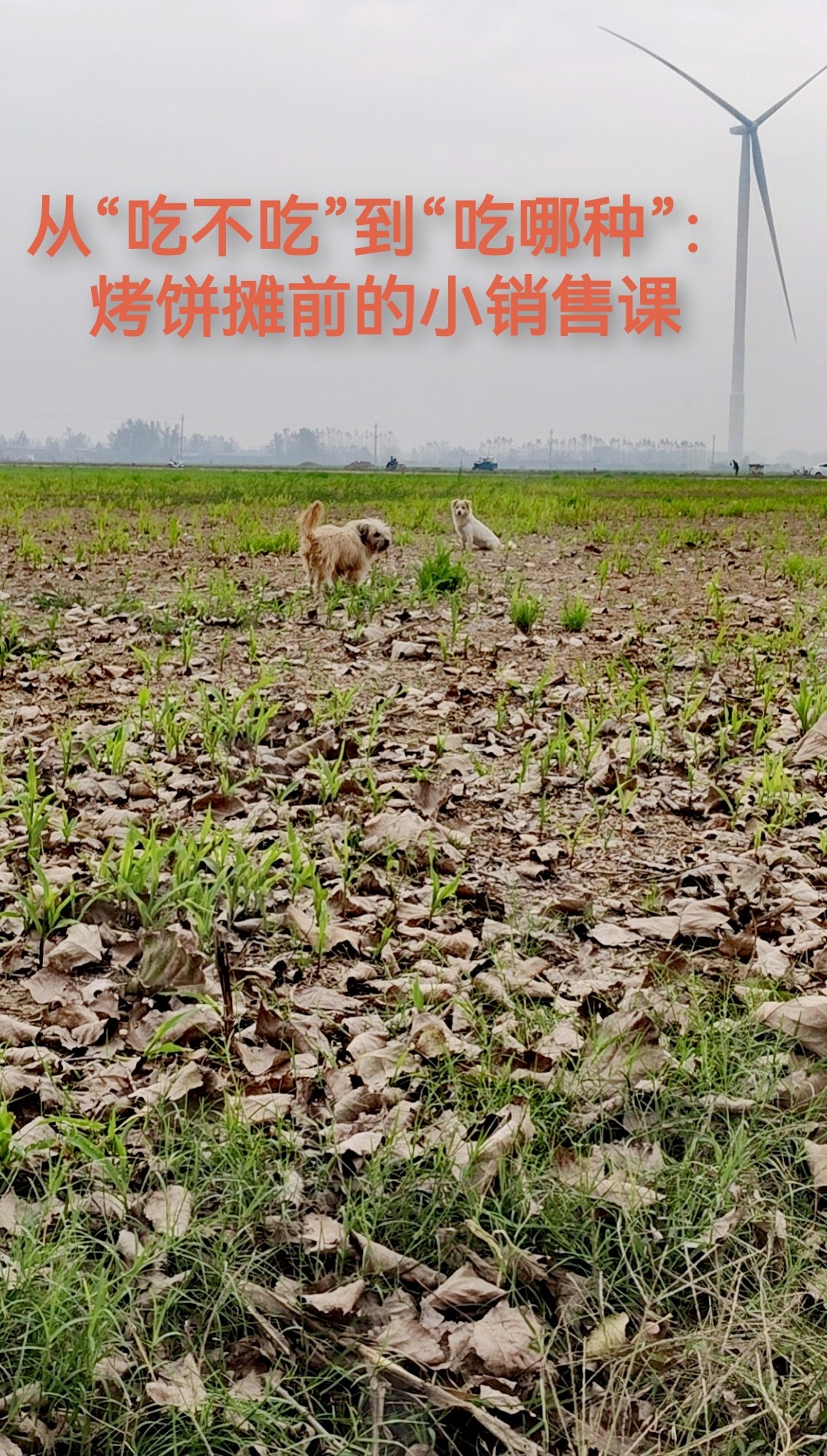 烤饼摊观察到的接单与销售技巧