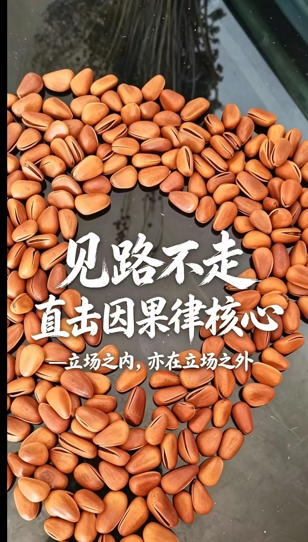 天幕红尘中见路不走的含义