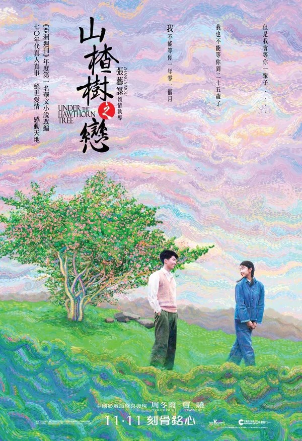 《山楂树之恋》的美学与现实边界