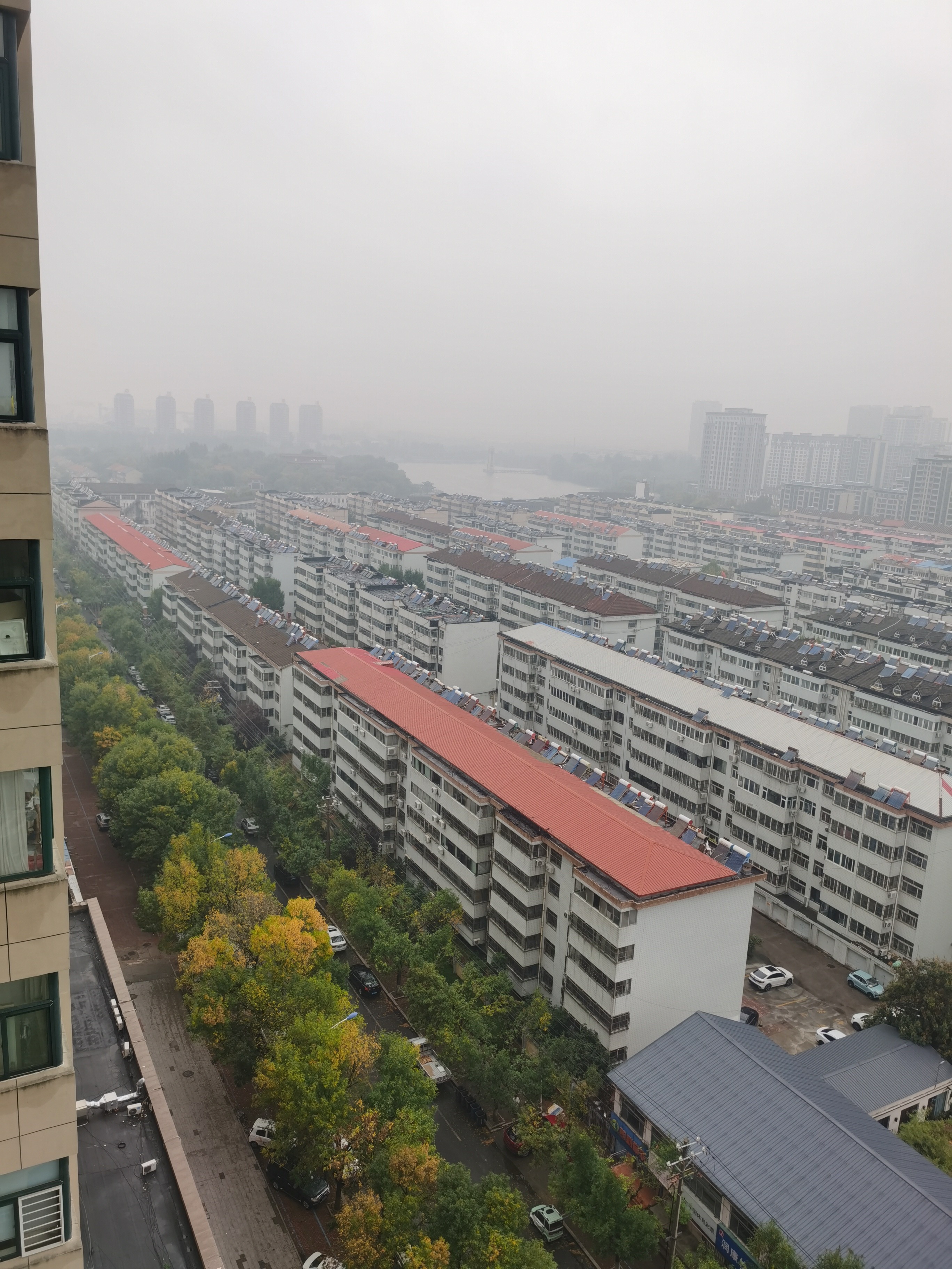 交易中的损失厌恶与处置效应
