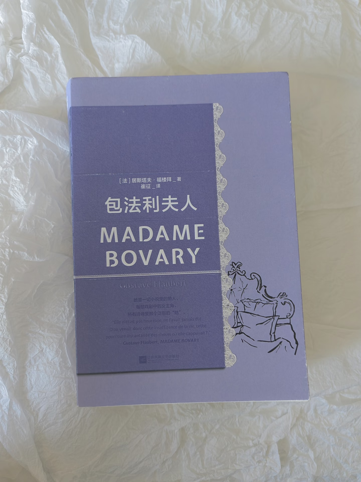 《包法利夫人》爱玛的悲剧成因