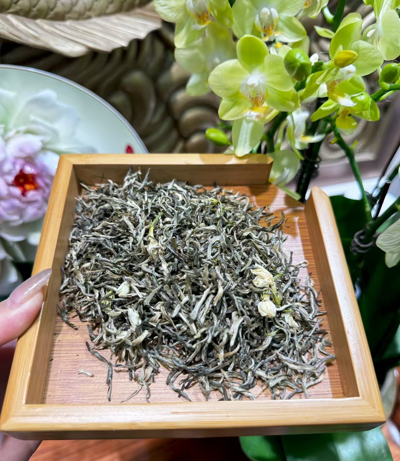 茉莉雪芽的热泡与冷泡方法