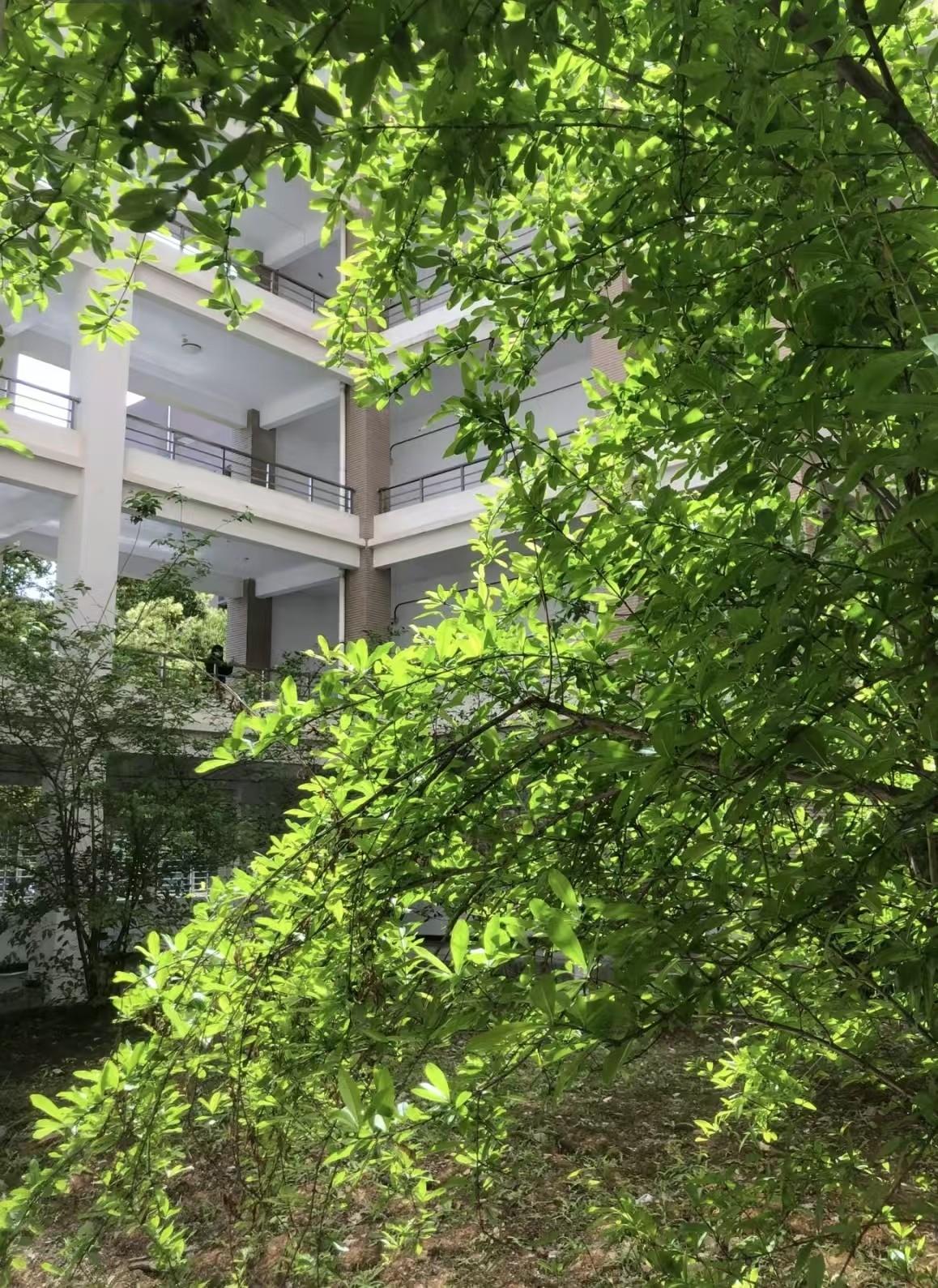 大学期间值得主动准备的五件事