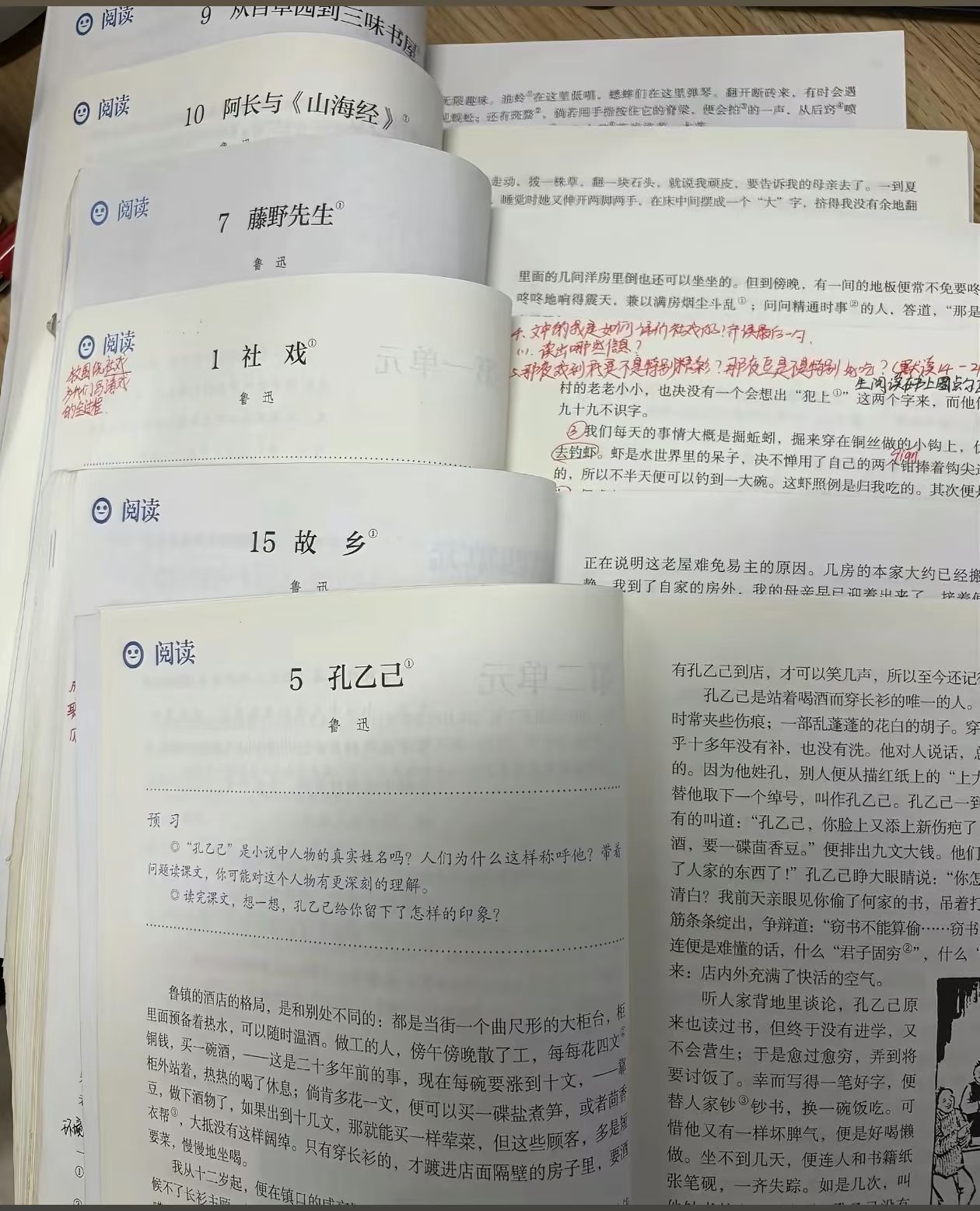 从课本中的鲁迅读出温柔与悲悯