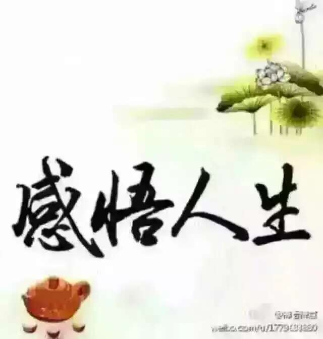 职场新人任务闭环与犯错汇报模板