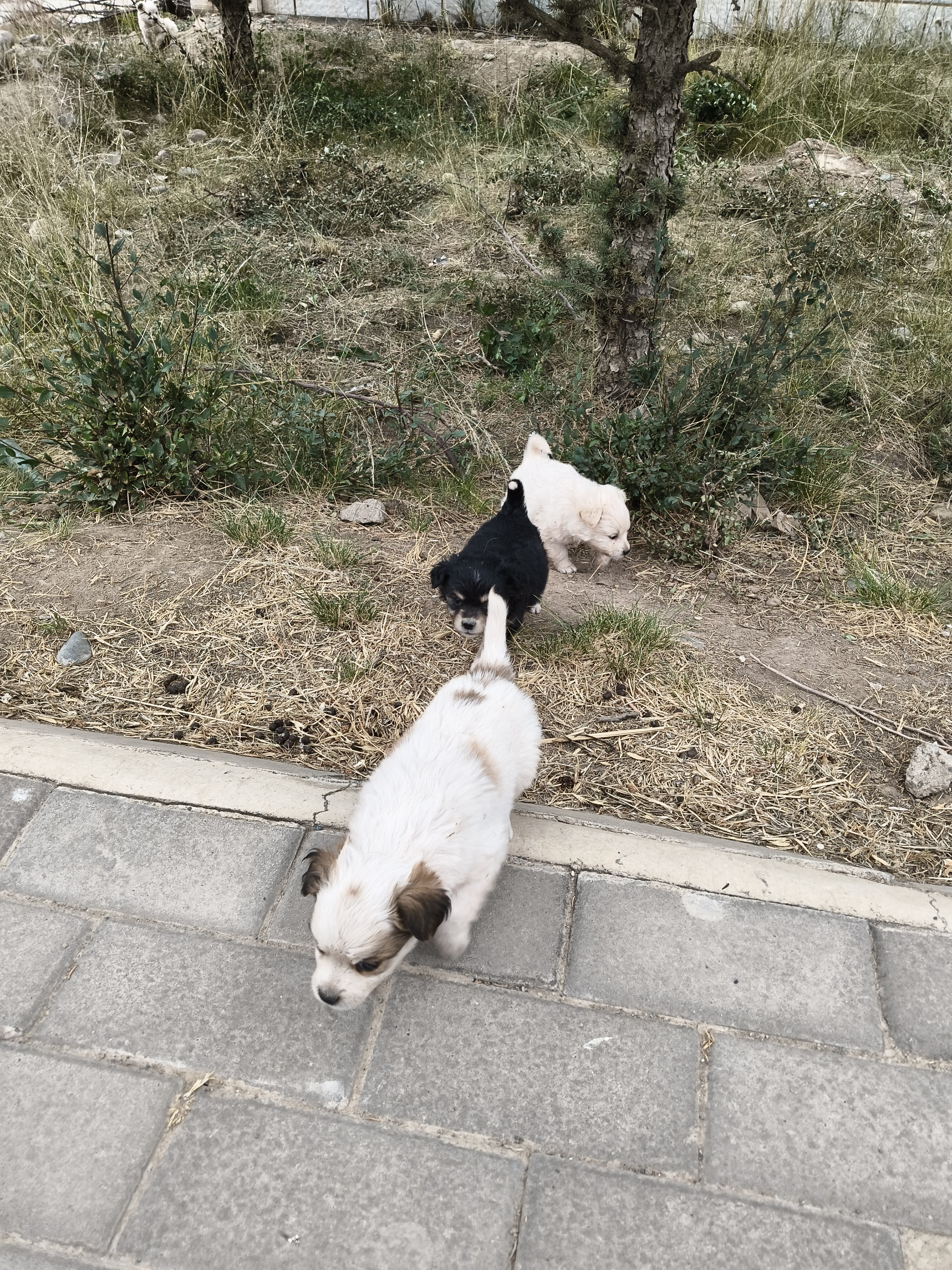 六张网建设带动哪些衍生行业